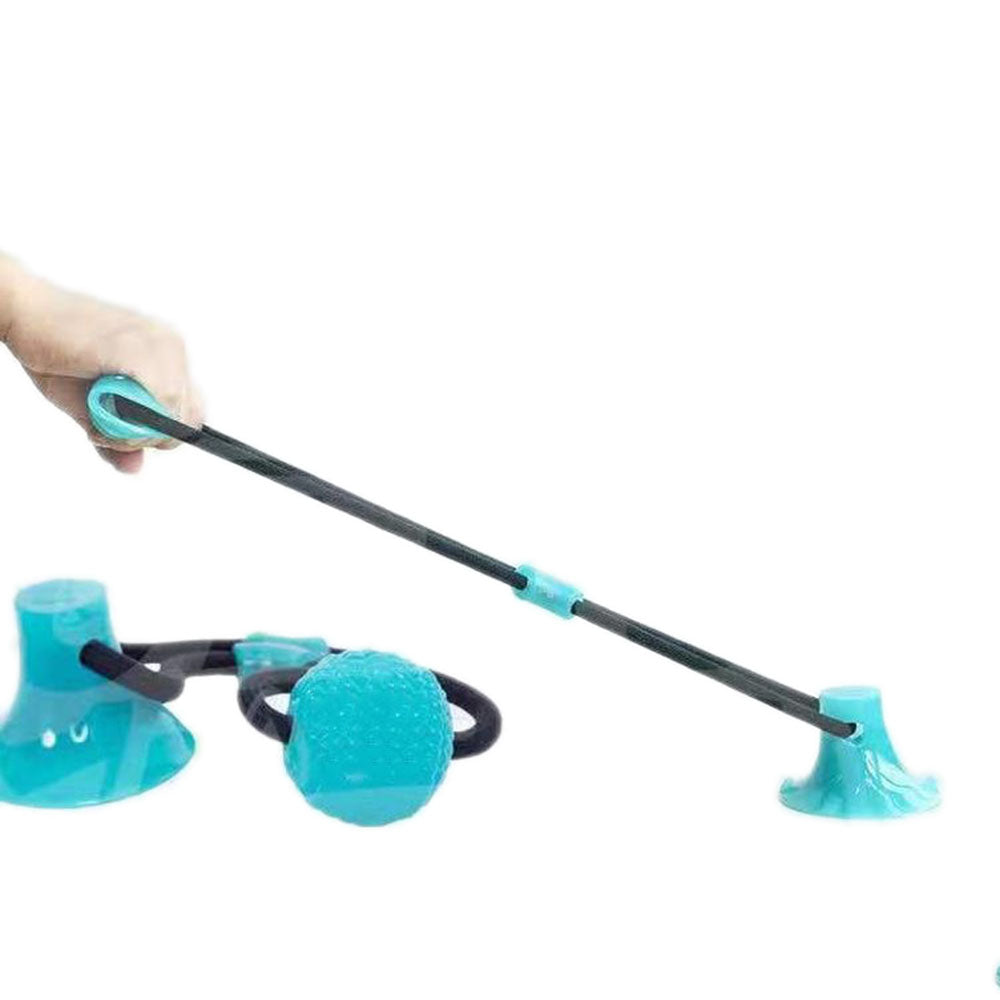 Dog playing with self-play suction cup chew toy
